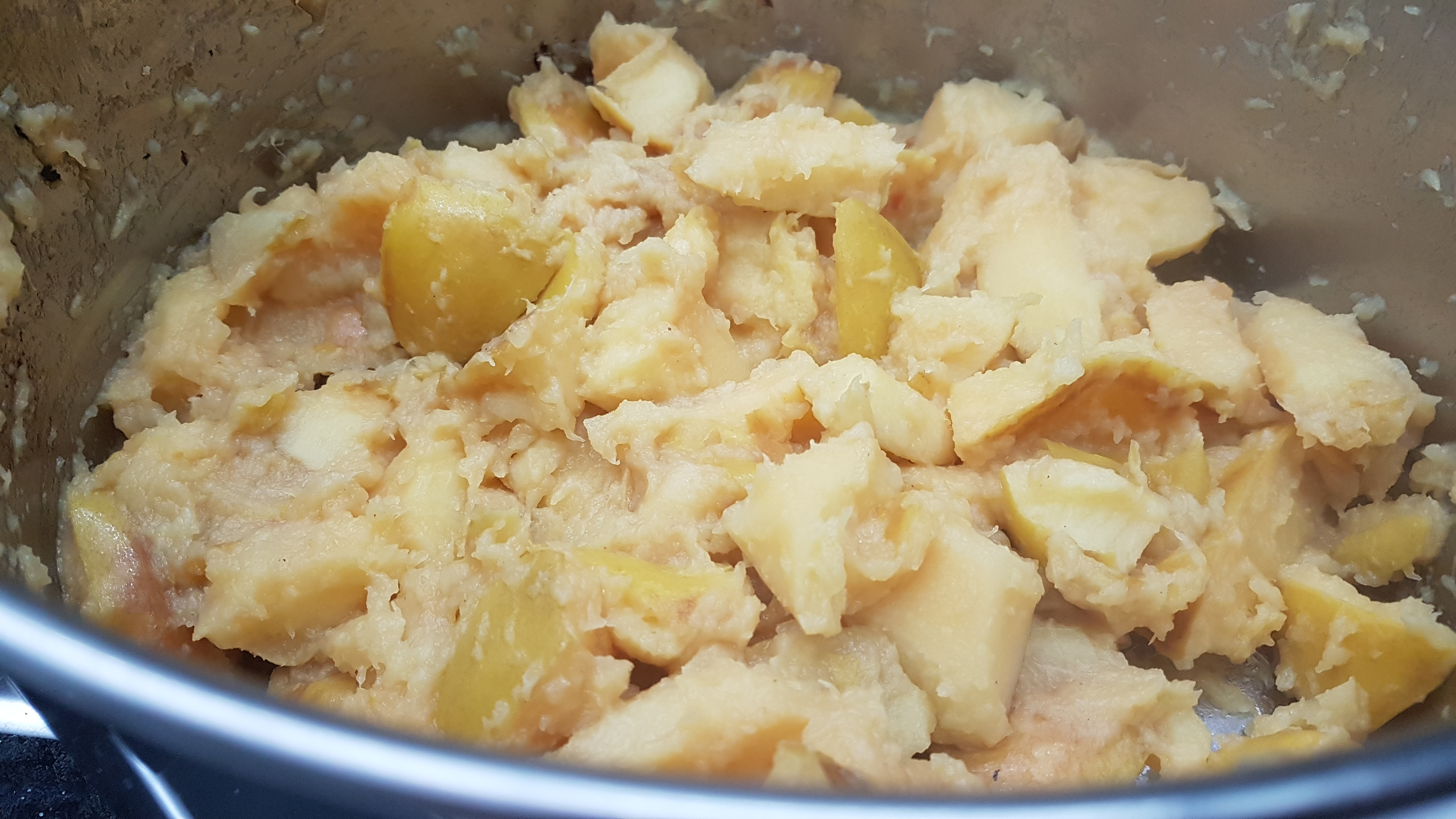 Cotognata compatta di mele cotogne