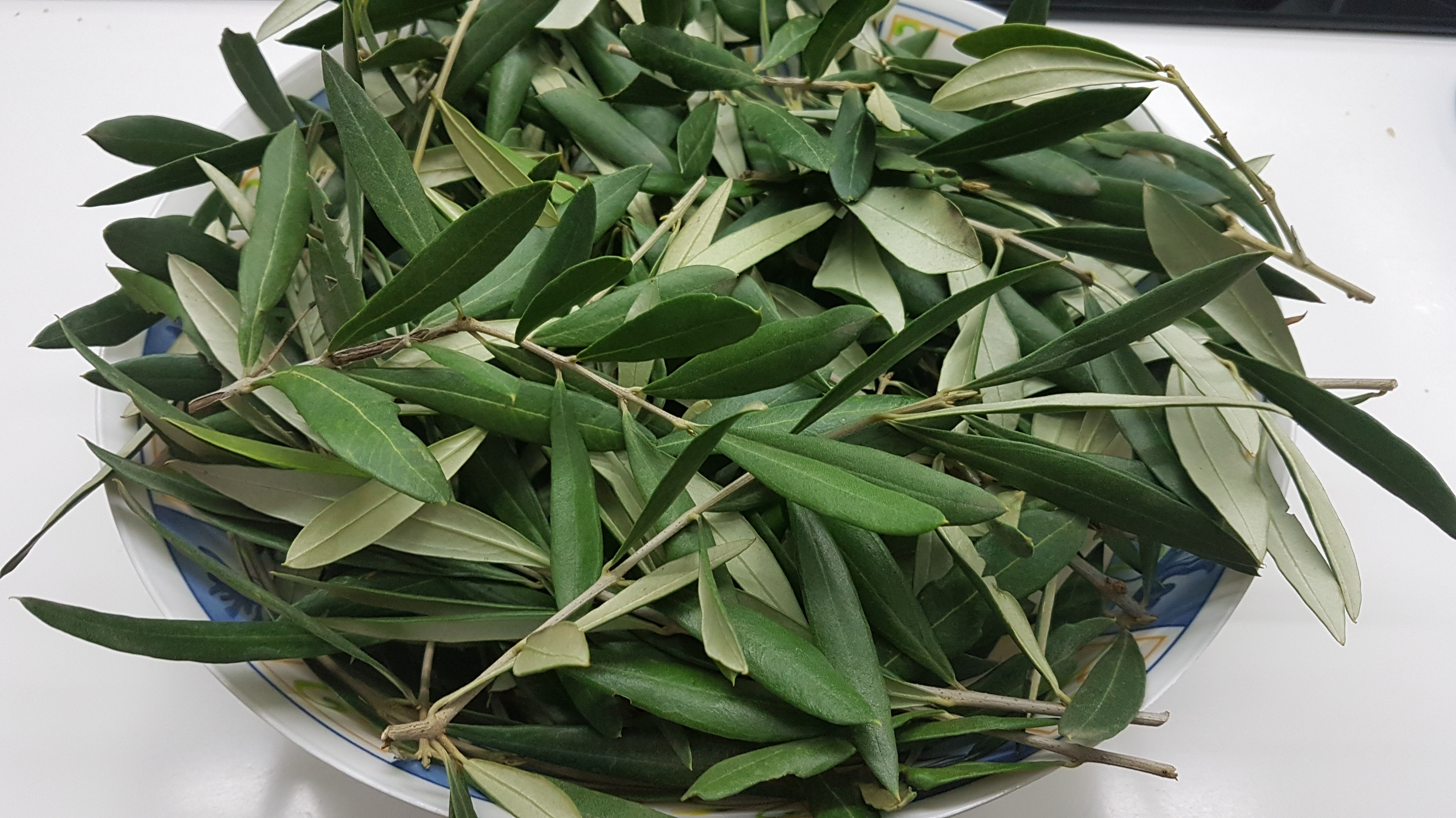 Elisir " ALUIV " liquore con estratto di foglie di ulivo