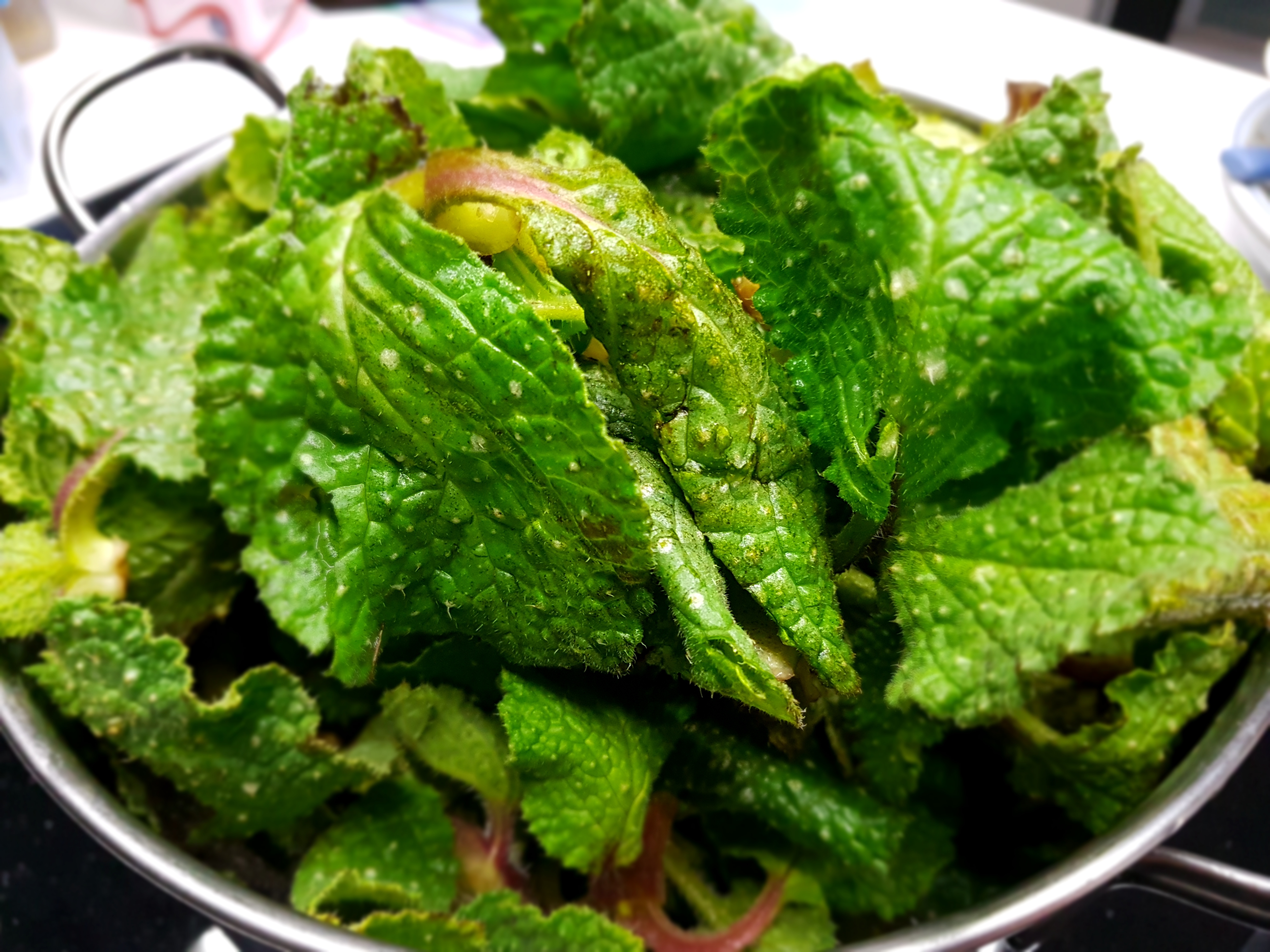 Farfatonde aromatizzate con borragine e stracciatella di Andria