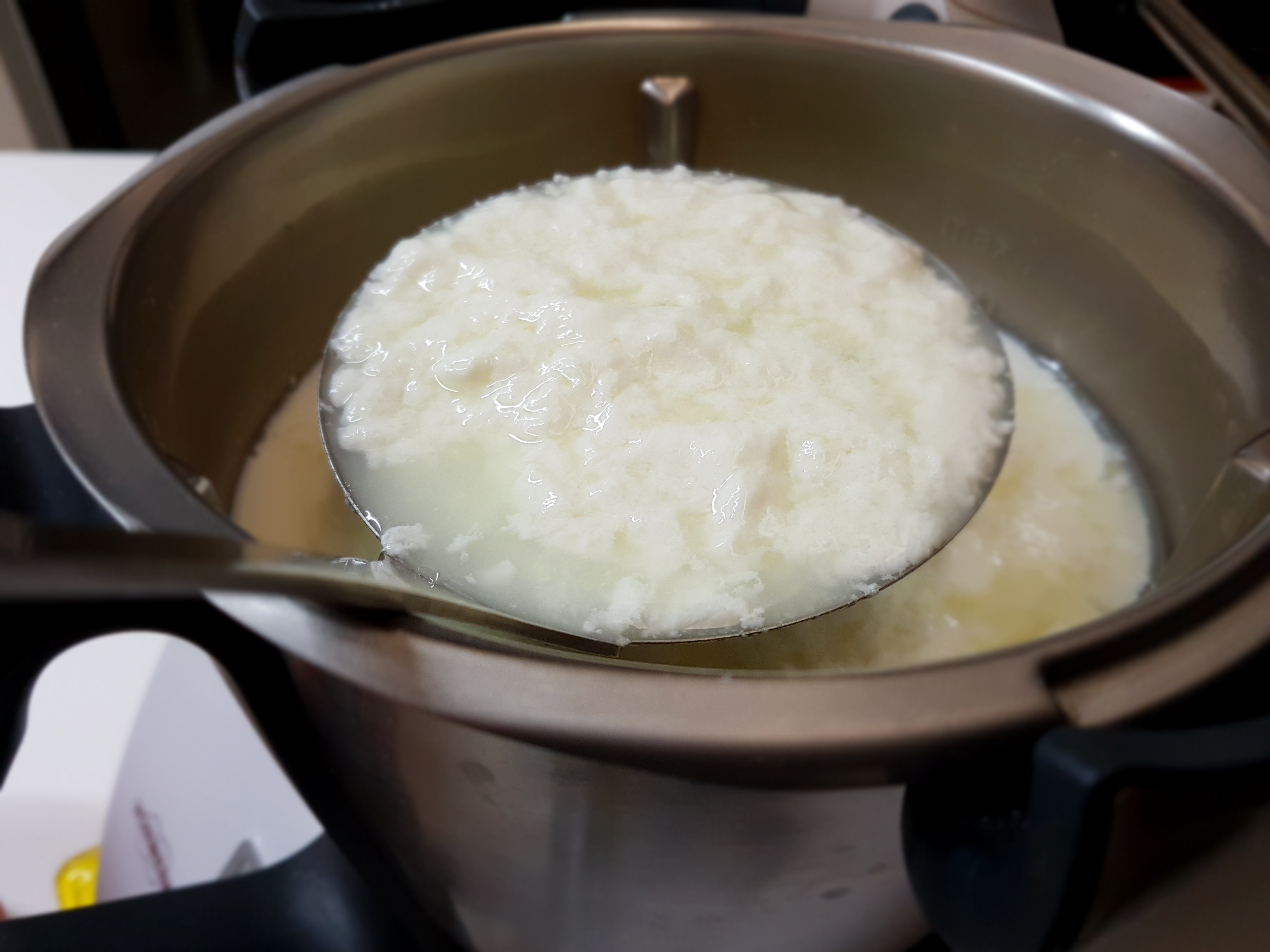 Formaggio primo sale Bimby