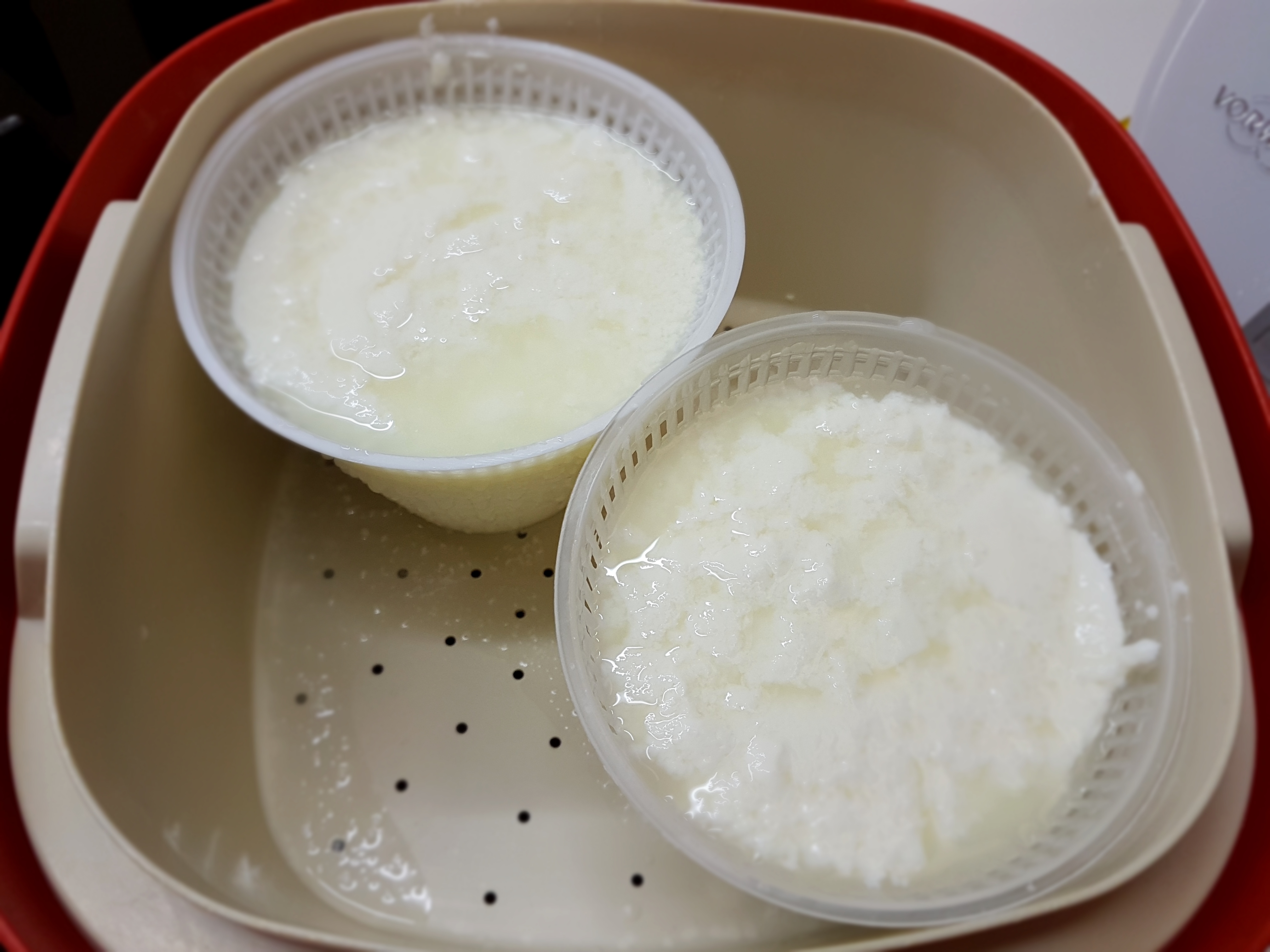 Formaggio primo sale Bimby