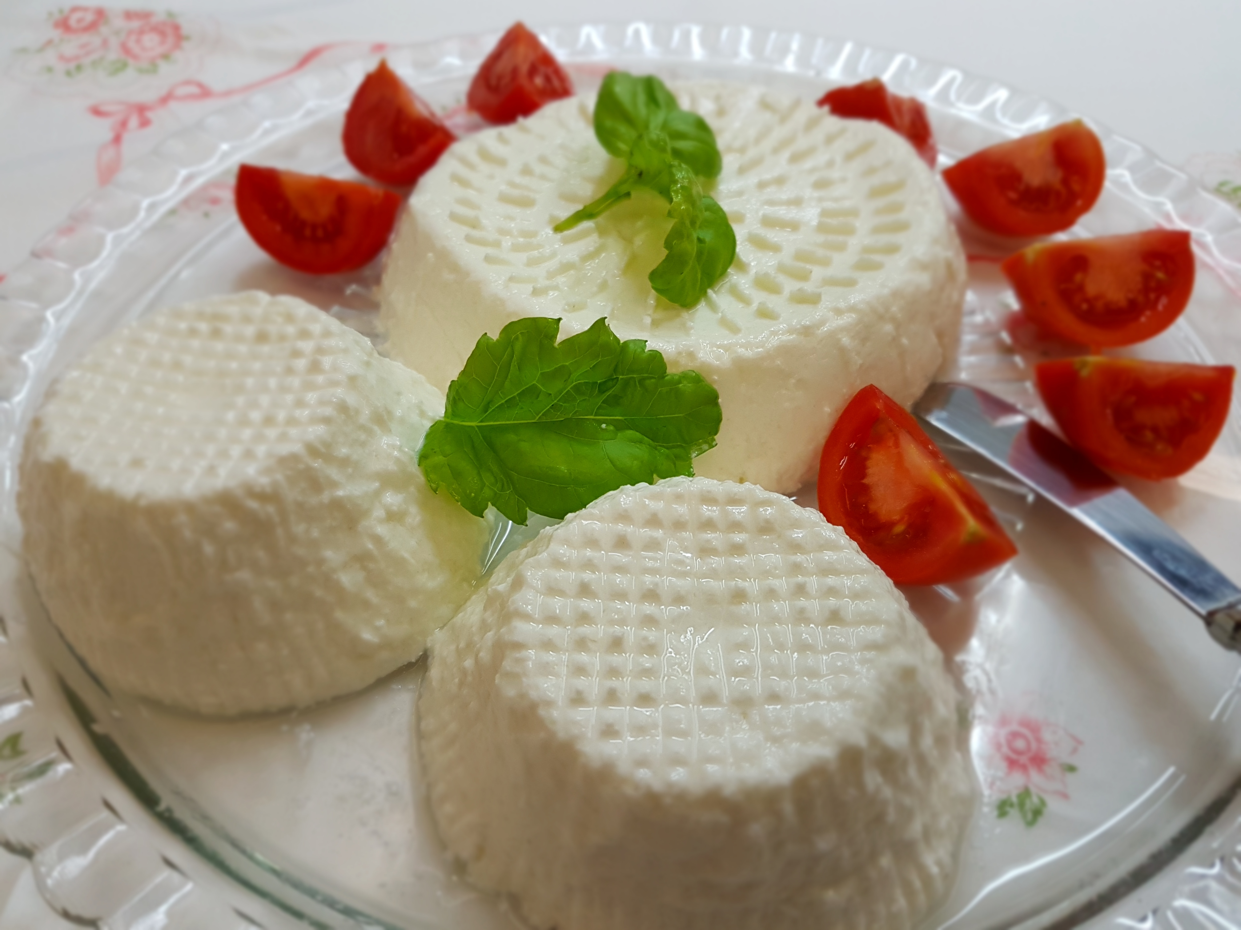 Formaggio primo sale Bimby