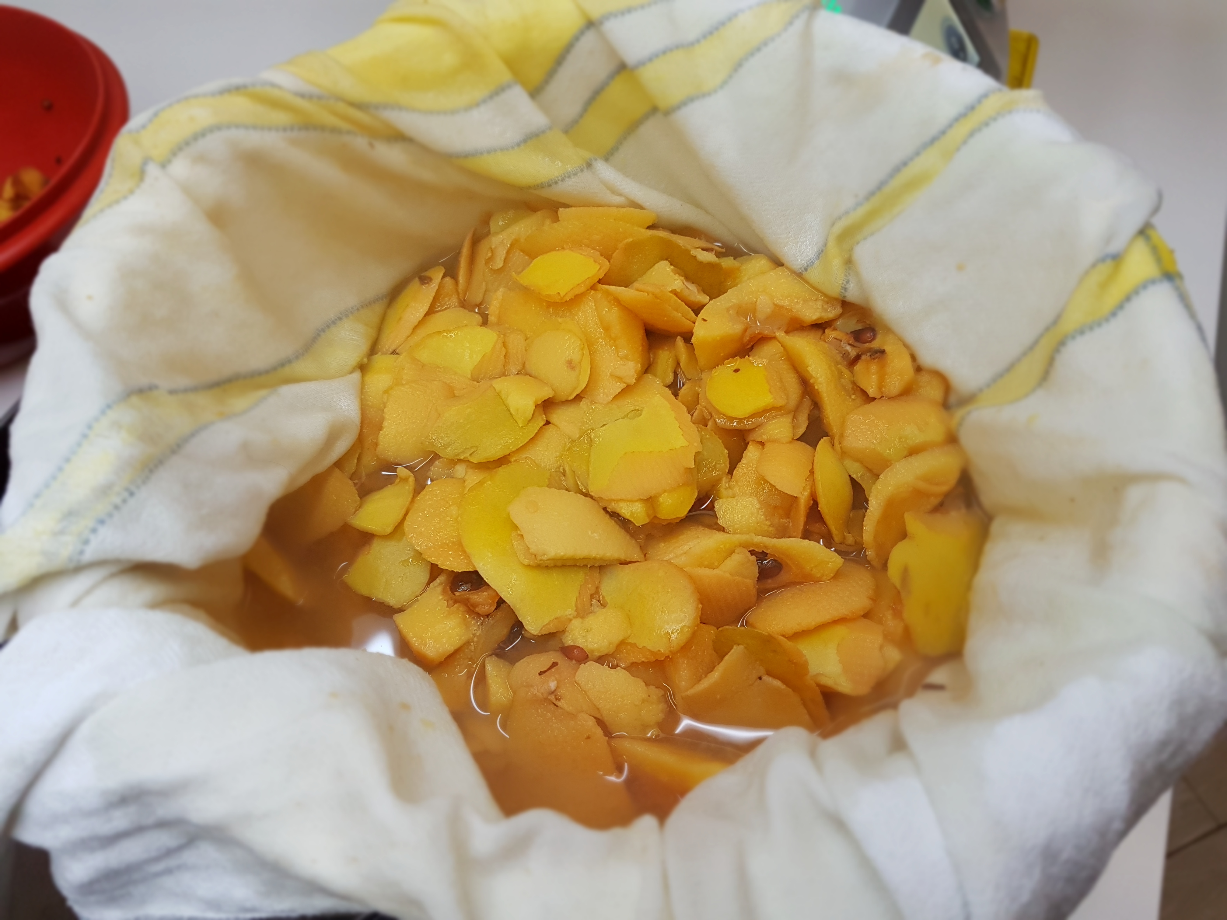 Gelatina di mele cotogne Bimby