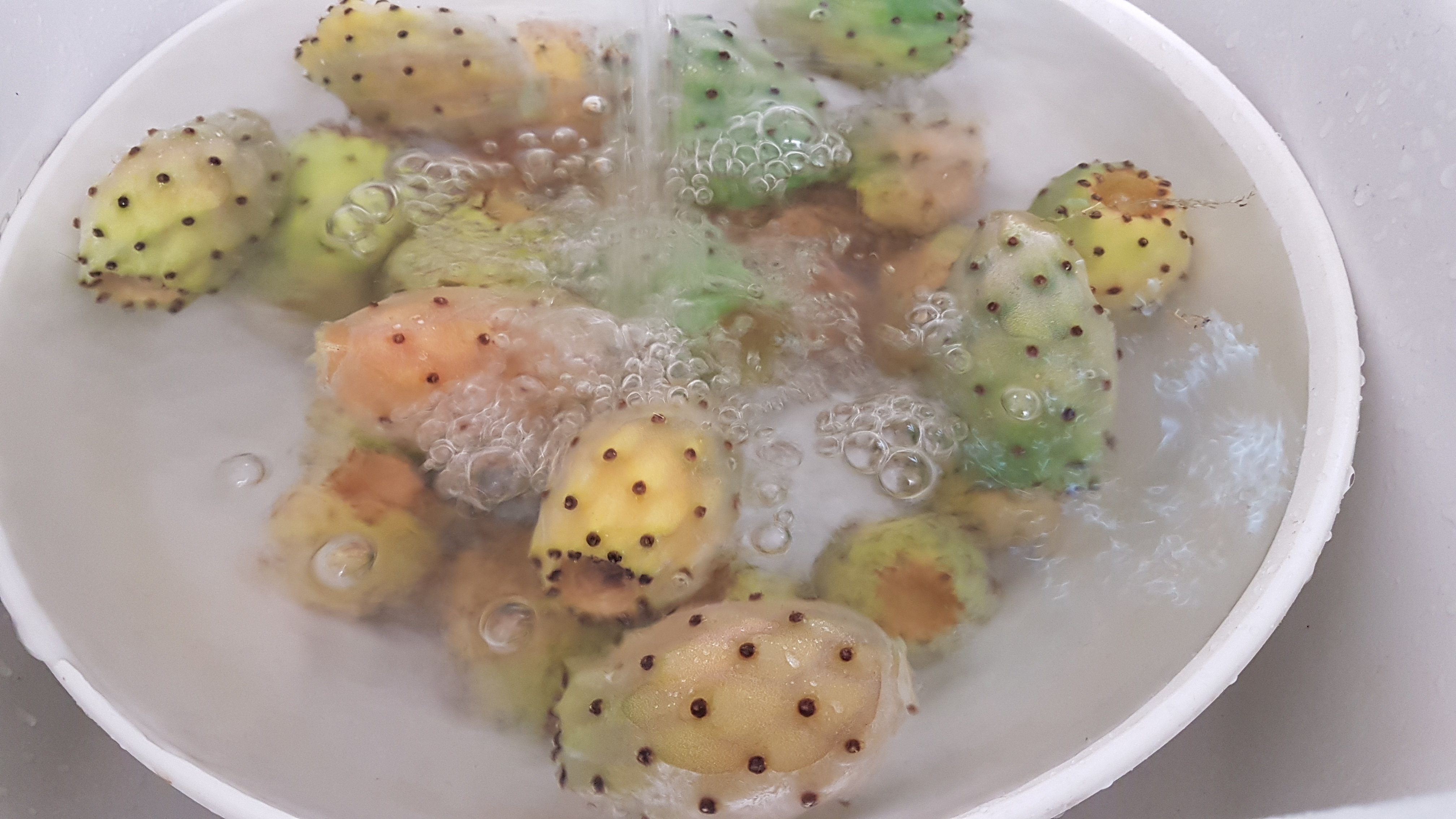 Marmellata di fichi d'india Bimby