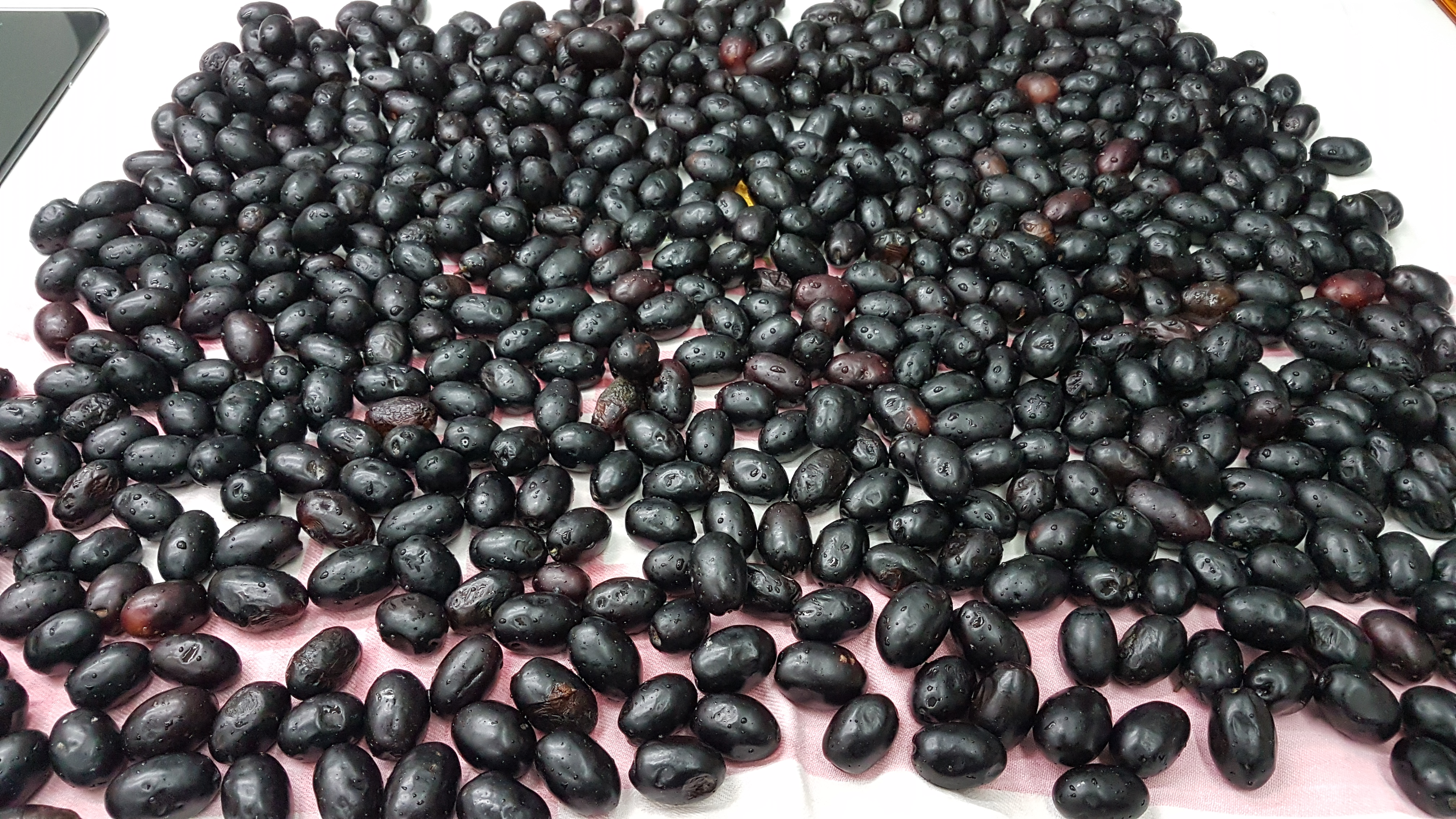 Olive nere sotto sale