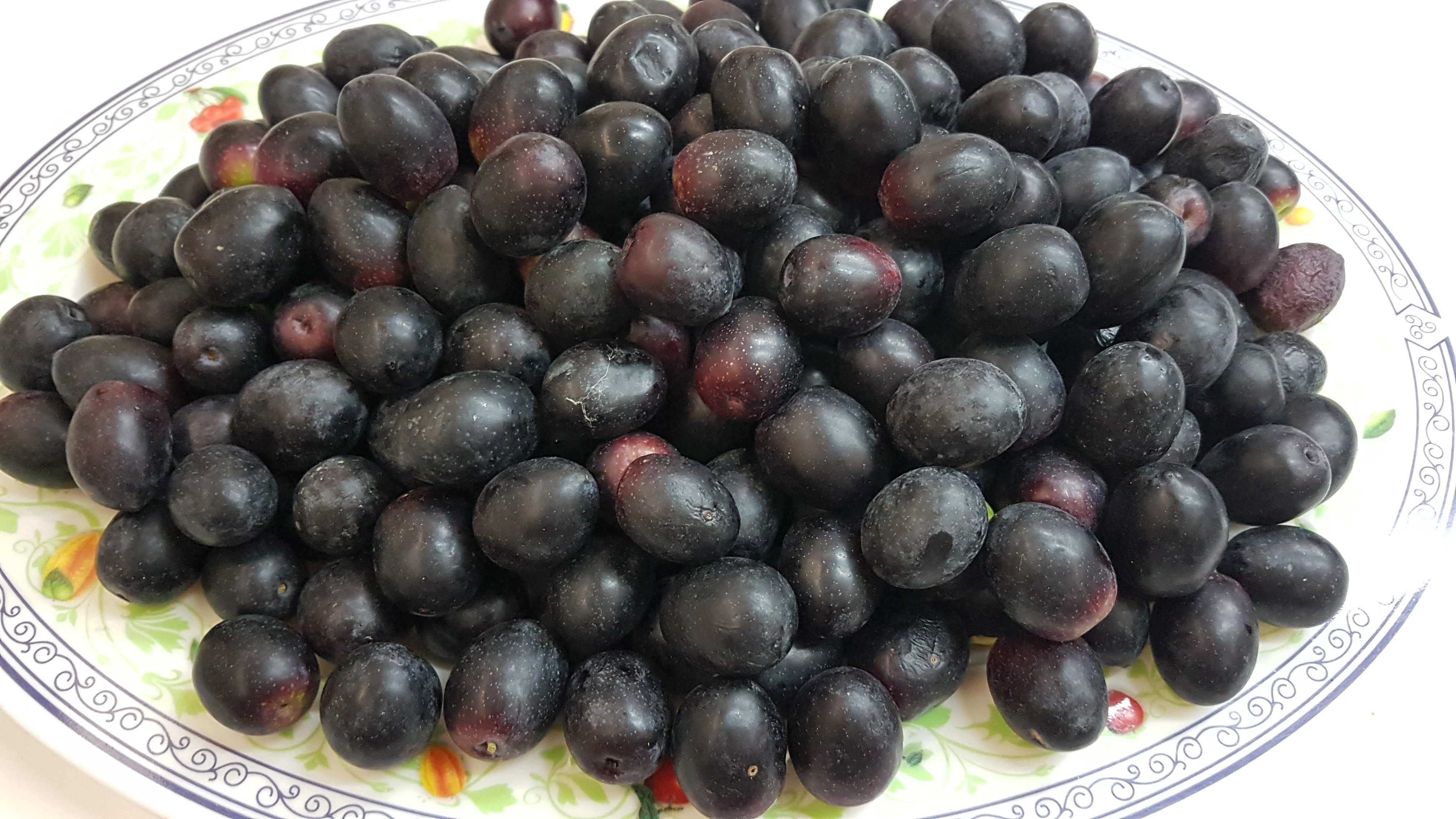 Olive Termite di Bitetto