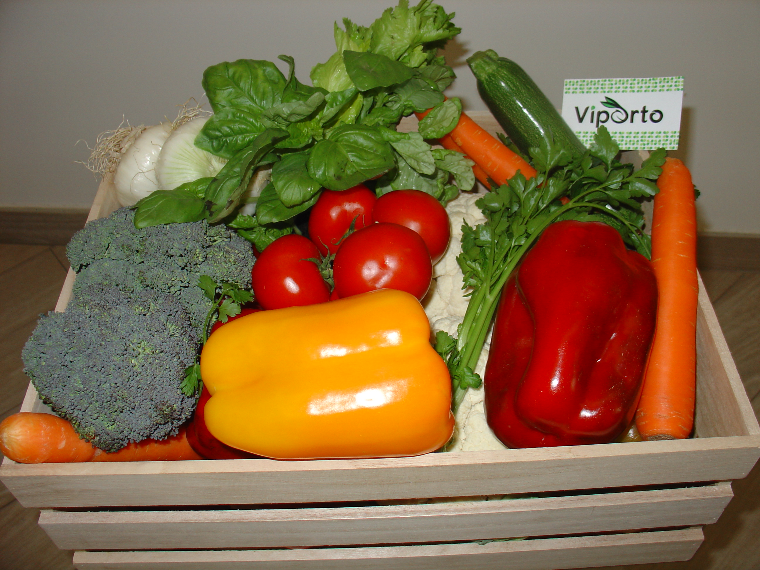 Orecchiette alla Viportese con salsa Tricolore