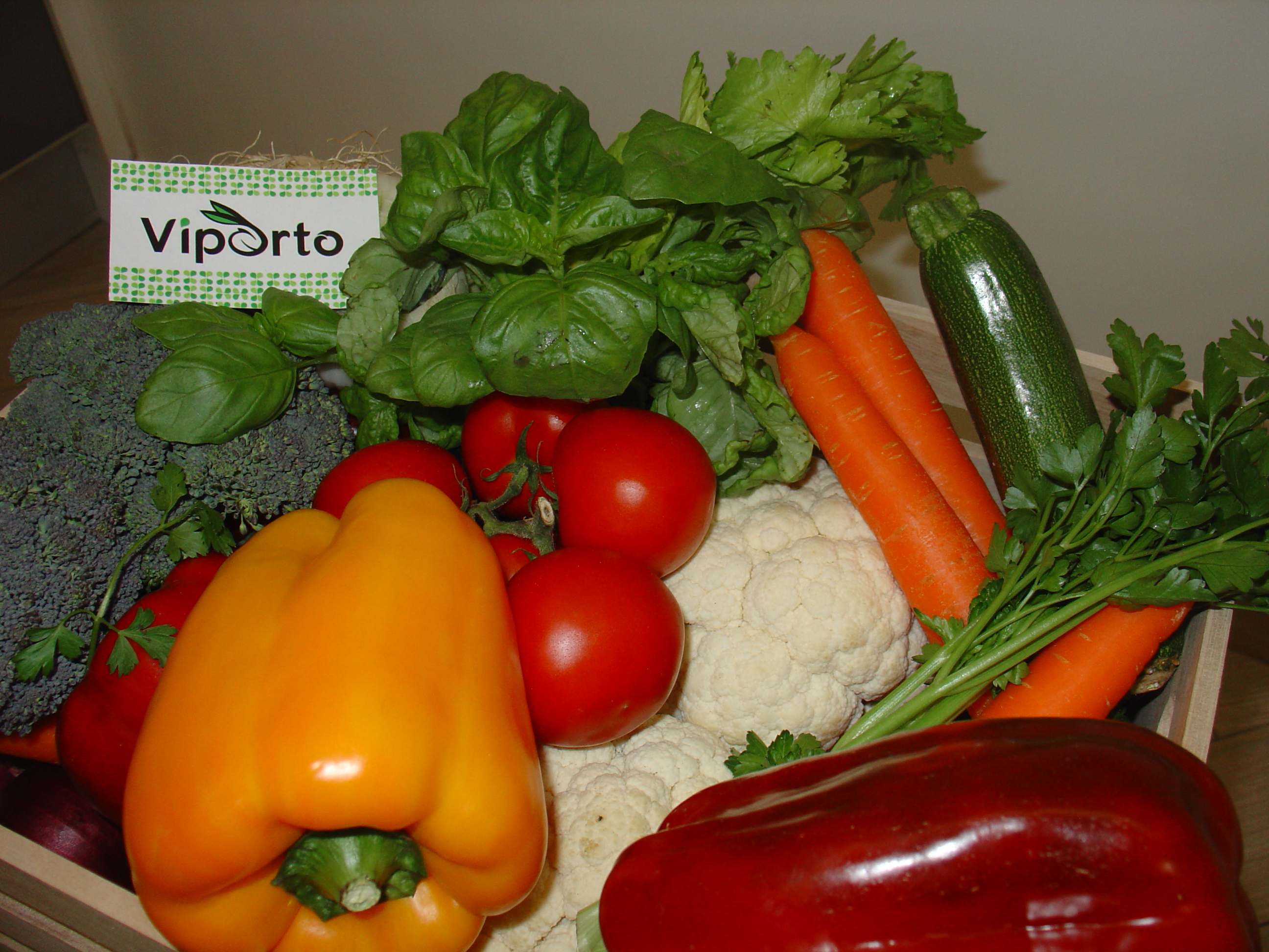 Orecchiette alla Viportese con salsa Tricolore
