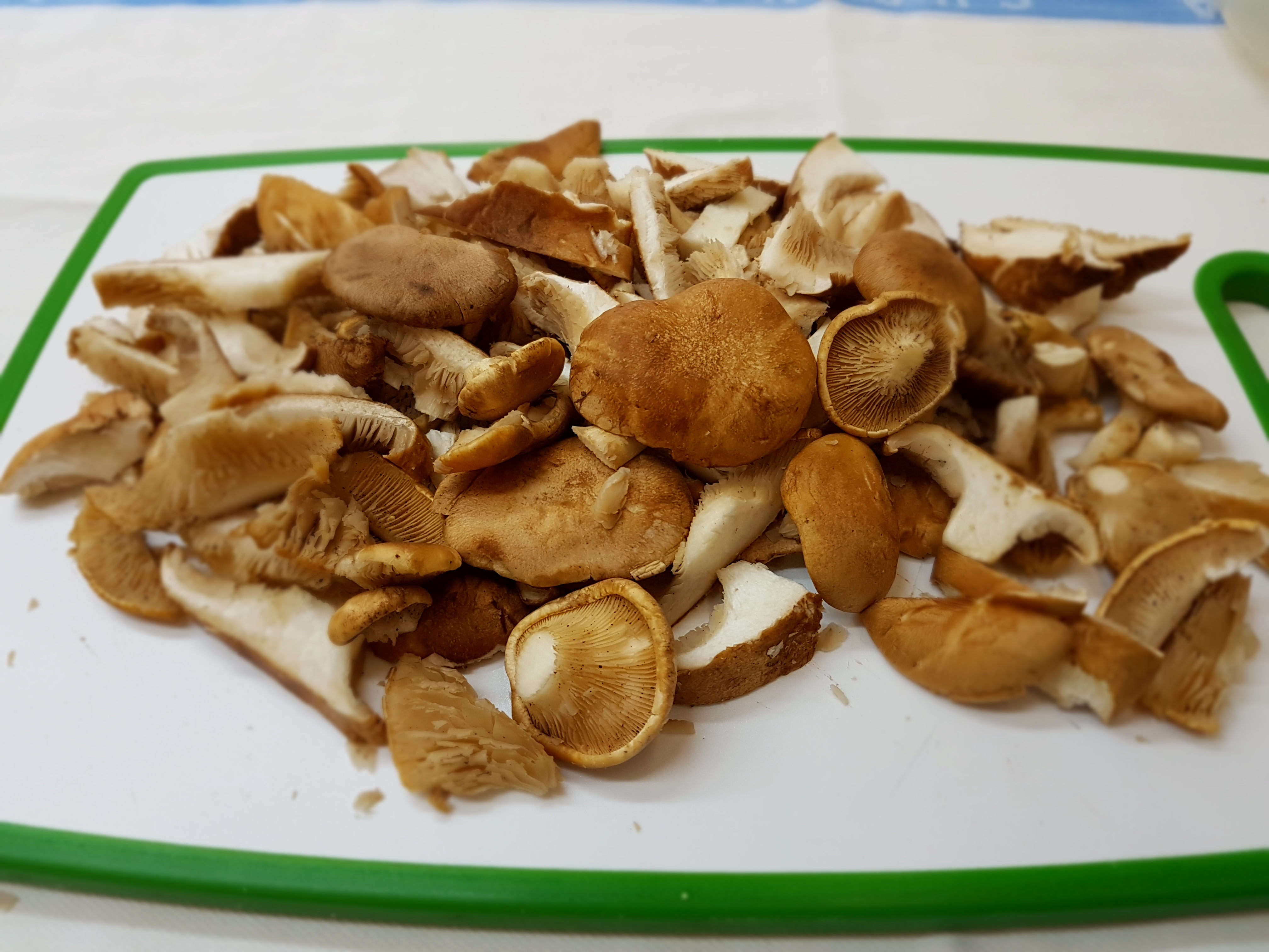 Orecchiette con ragù di cardoncelli e salsiccia piccante di Minervino