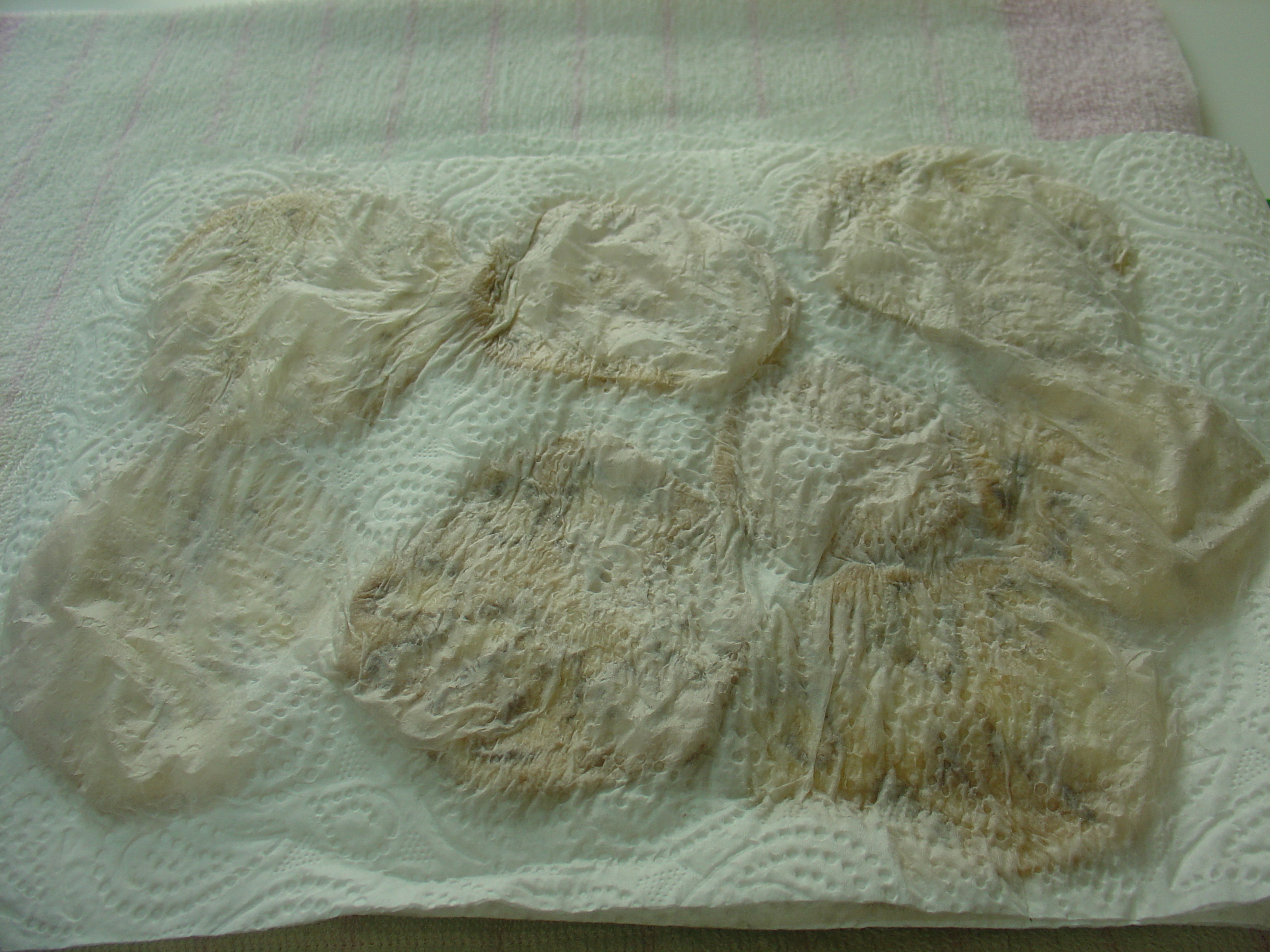 Penne alla Norma con ricotta fresca