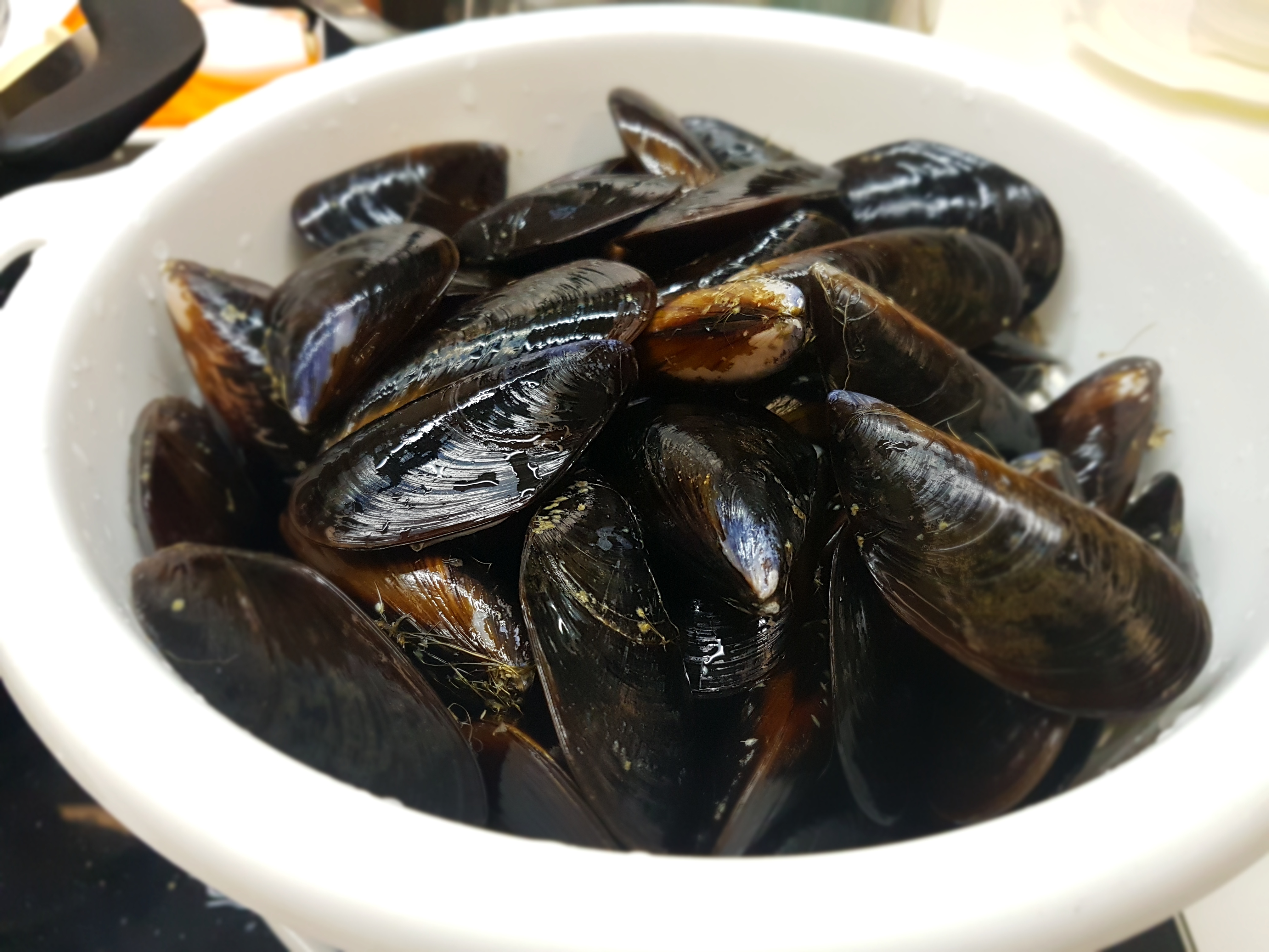 Spaghetti della scogliera