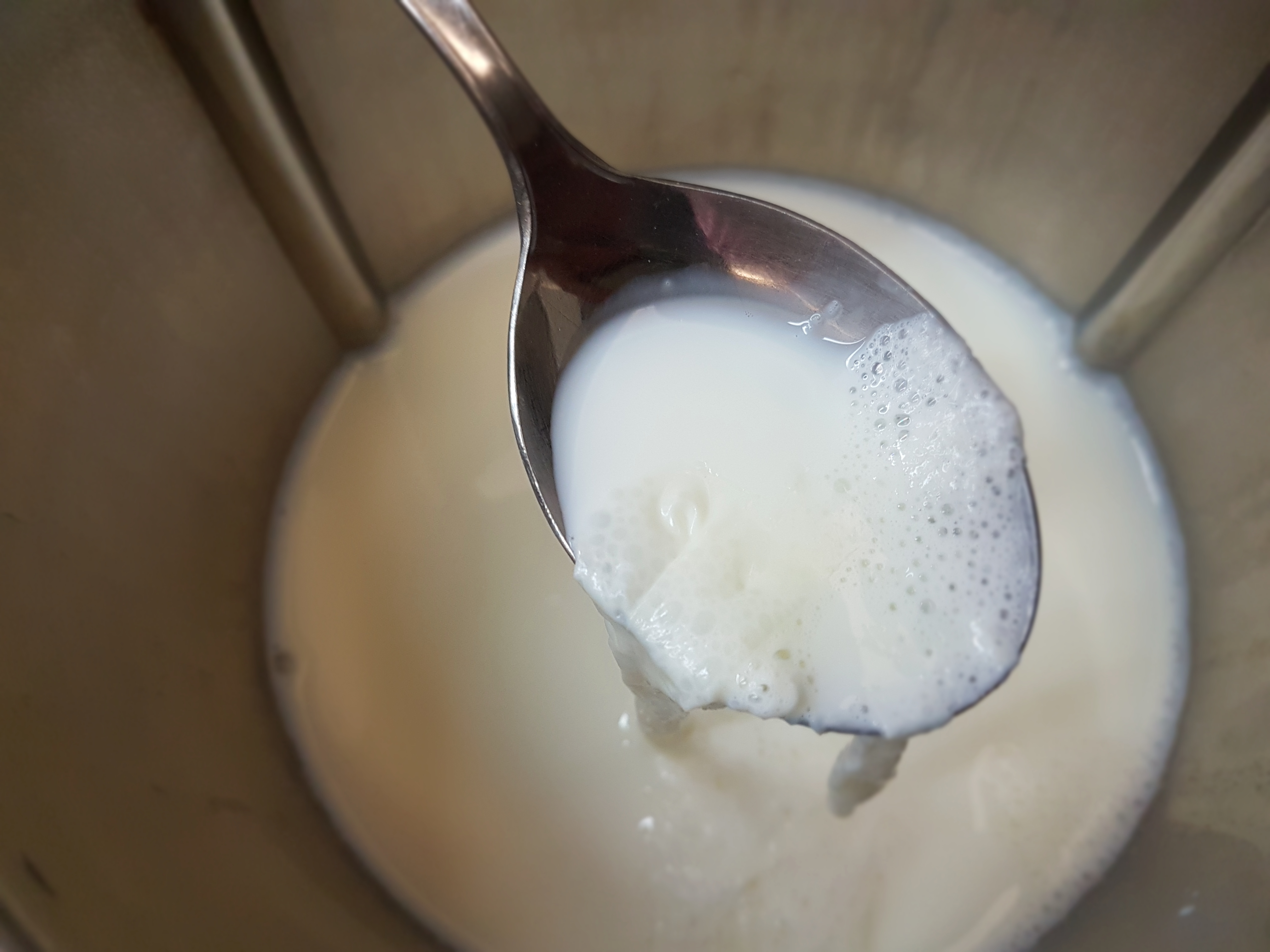 Yogurt bianco e yogurt alla frutta Bimby