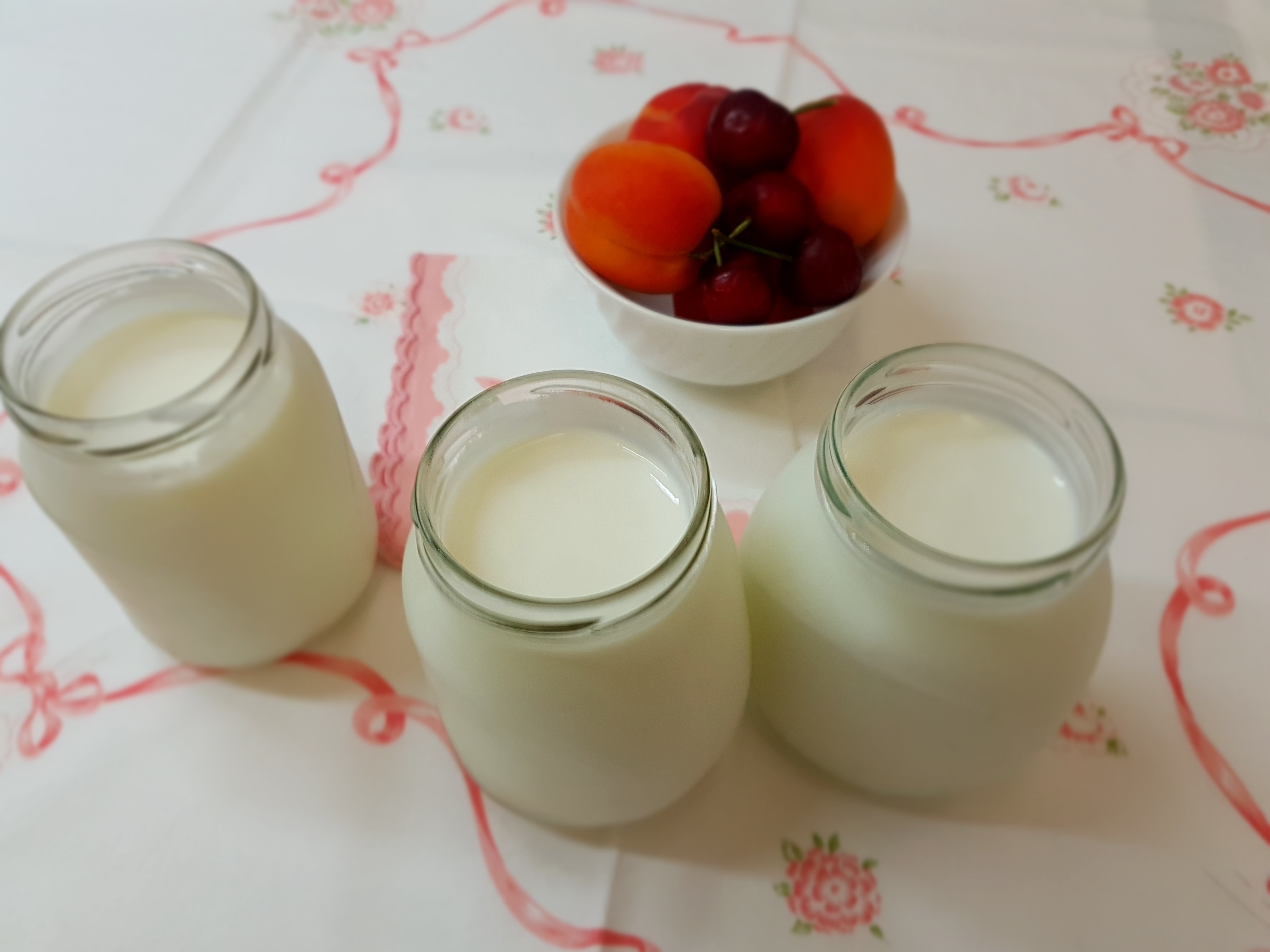 Yogurt bianco e yogurt alla frutta Bimby
